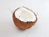 the-coconut